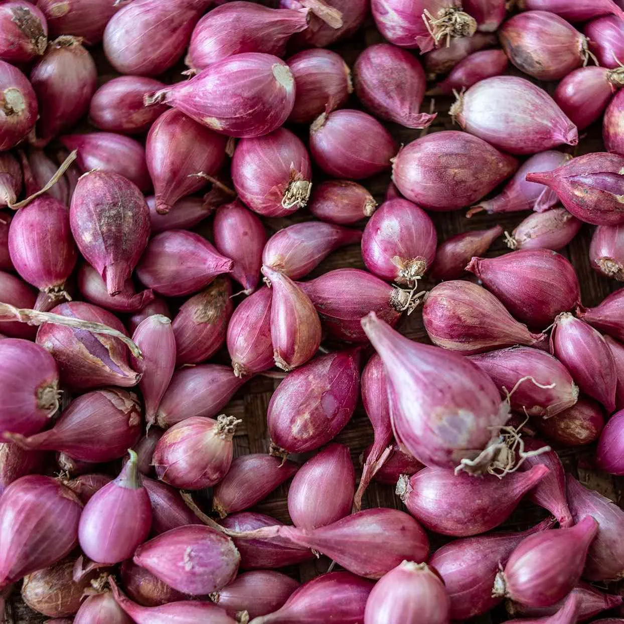 Shallots (small onion)