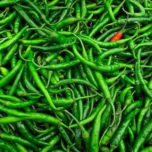 Green chilli