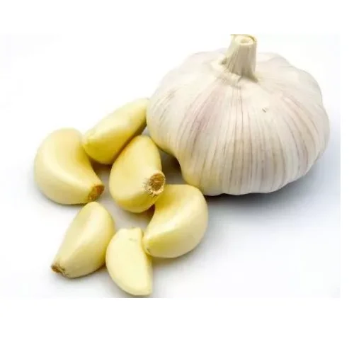 Garlic 6Pc