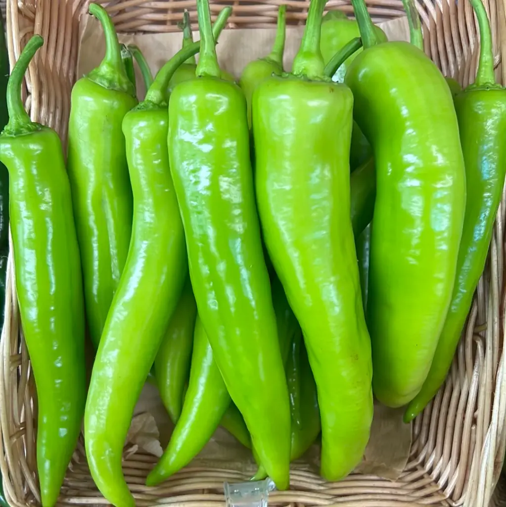 Turkish Long Chilli 