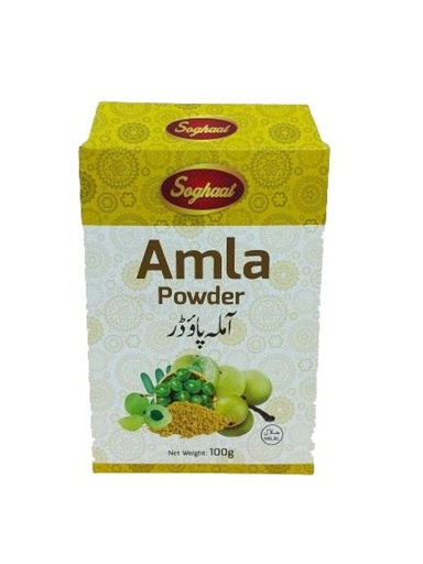 [2350902590658] Soghaat Amla Powder 100G